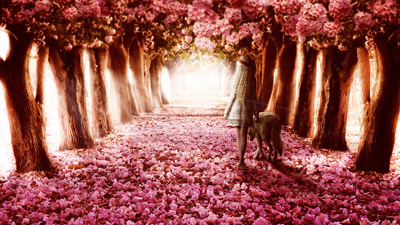 Stylishhdwallpapers Nature Flower Trees Path Wolf Girl - Flower Path , HD Wallpaper & Backgrounds