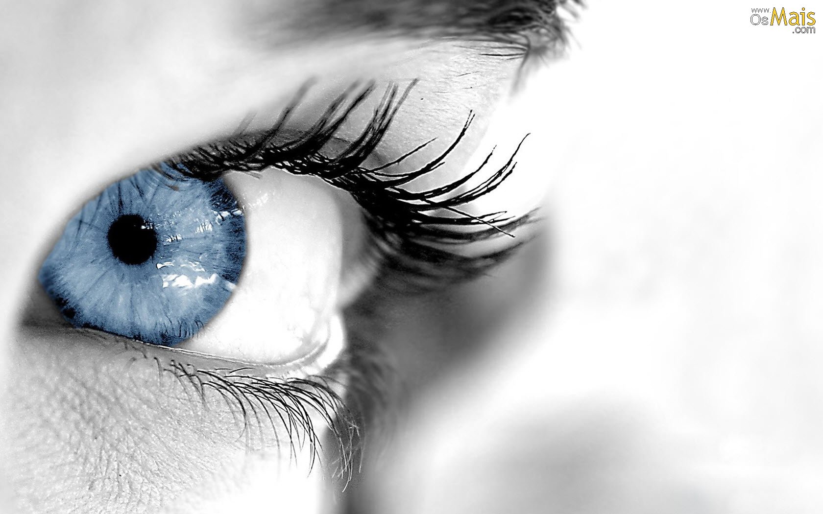 Papel De Parede Olho Azul - Ophthalmic Anesthesia , HD Wallpaper & Backgrounds