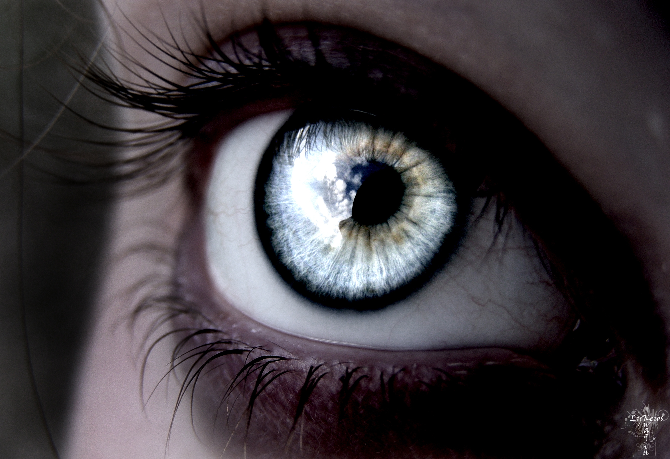 Wiki Download Eye Wallpaper Pic Wpb003125 - Pretty Rare Eye Colors , HD Wallpaper & Backgrounds