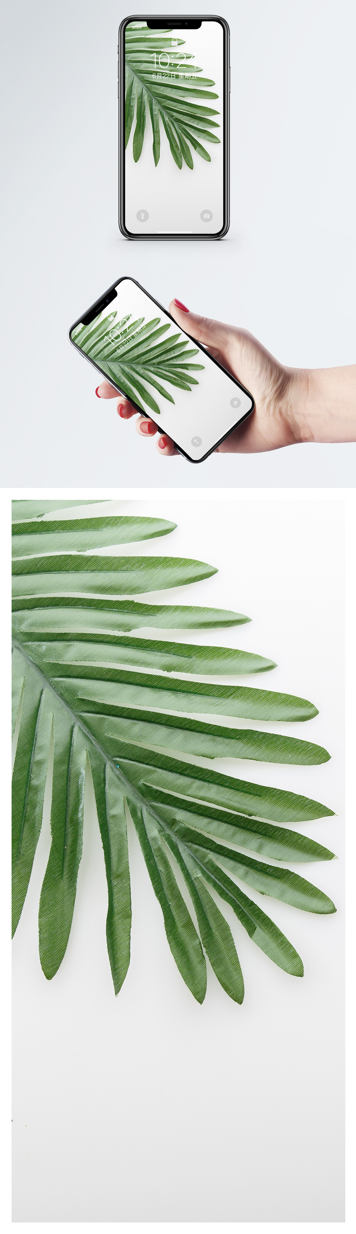 Plant Cellphone Wallpaper - Christmas Tree , HD Wallpaper & Backgrounds