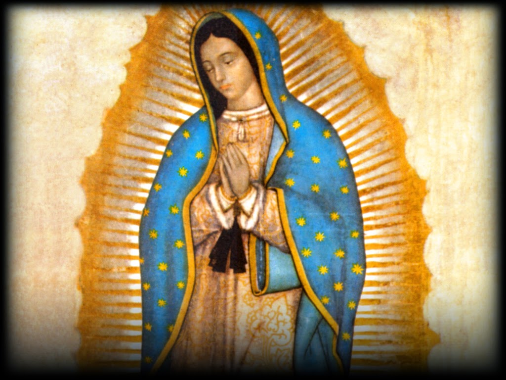 Our Lady Of Guadalupe Hd , HD Wallpaper & Backgrounds