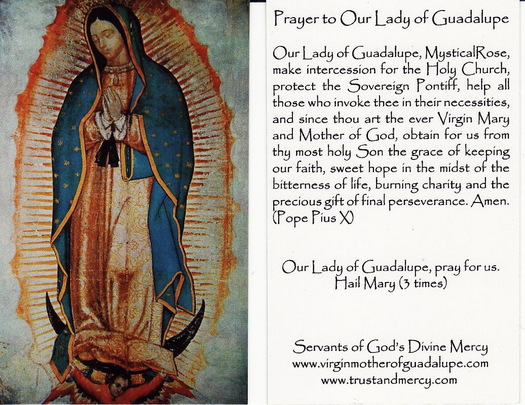 Search By Keyword - Prayer To Our Lady Of Guadalupe , HD Wallpaper & Backgrounds