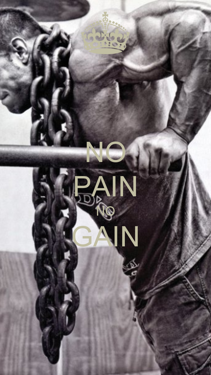 No Pain No Gain Wallpaper Hd - No Pain No Gain Wallpaper Iphone , HD Wallpaper & Backgrounds