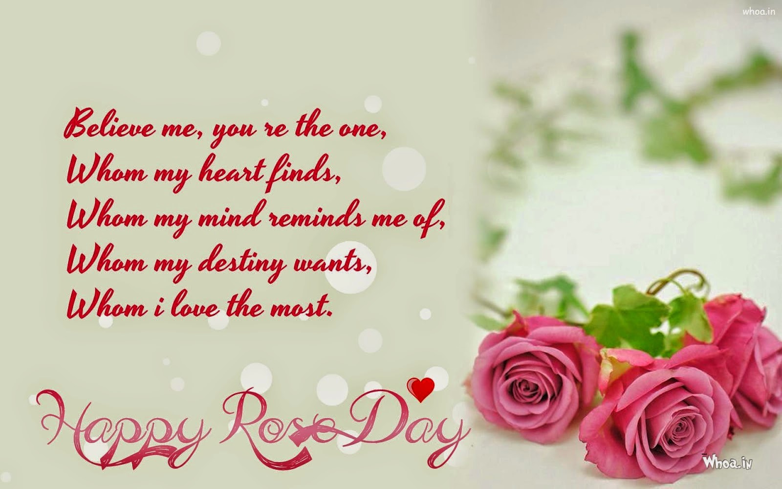 Rose Day 2019 Images - Boyfriend Rose Day Quotes , HD Wallpaper & Backgrounds