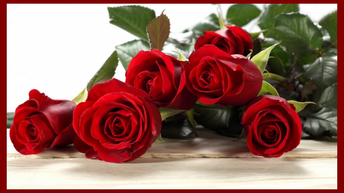 Valentine Rose Hd Desktop Wallpaper Happy Valentine - Valentine Day Rose Wallpaper Hd , HD Wallpaper & Backgrounds