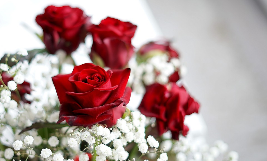 Valentines Week - Happy Rose Day My Love , HD Wallpaper & Backgrounds