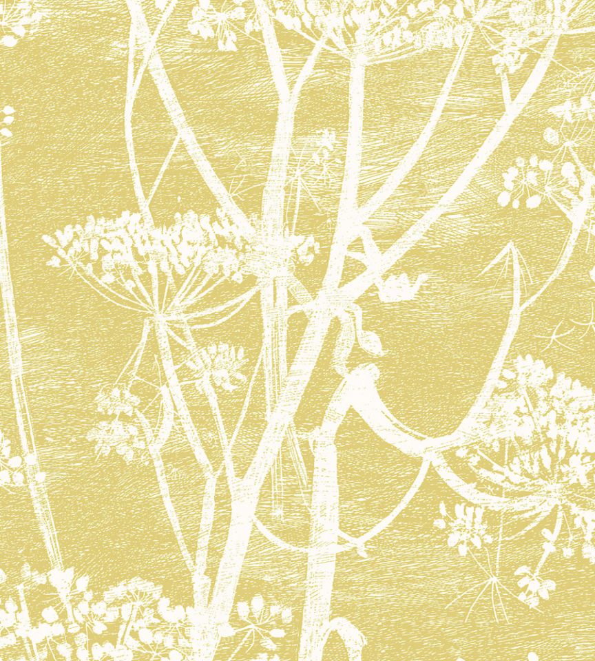 Cole & Son Fabric - Cow Parsley Cole And Son , HD Wallpaper & Backgrounds