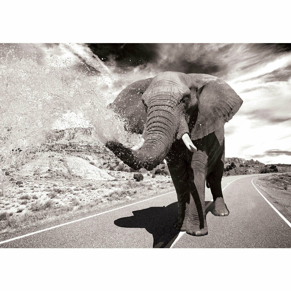 Foto Mural Elefante Agua Calle Liwwing N°2557 Animal - Indian Elephant , HD Wallpaper & Backgrounds