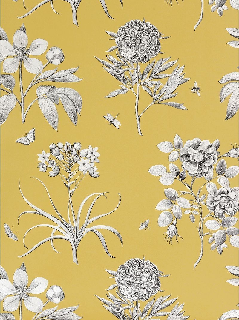 Sanderson Wallpaper Etchings And Roses Dpfwer104 Yellow - Background Joules , HD Wallpaper & Backgrounds