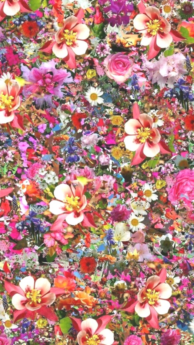 Iphone Wallpaper 4k Nature- Floral - Artificial Flower , HD Wallpaper & Backgrounds