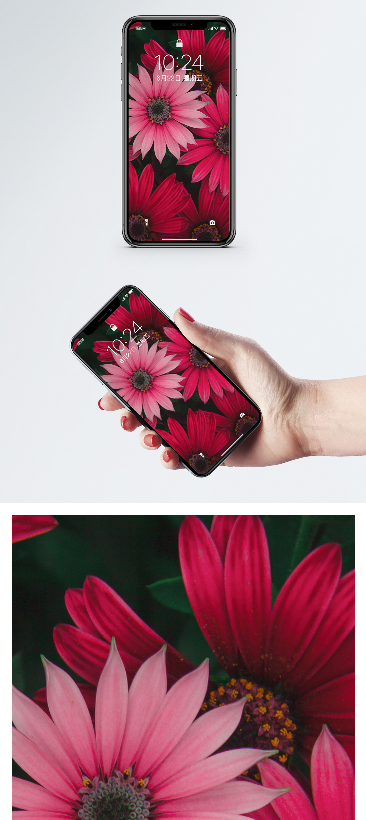 Red Flower Mobile Wallpaper Photo - Flower Mobile Wallpaper Hd , HD Wallpaper & Backgrounds