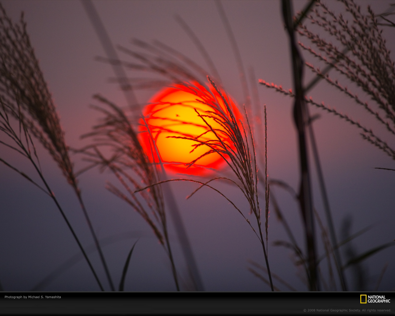 Salah - Orange Sunset , HD Wallpaper & Backgrounds