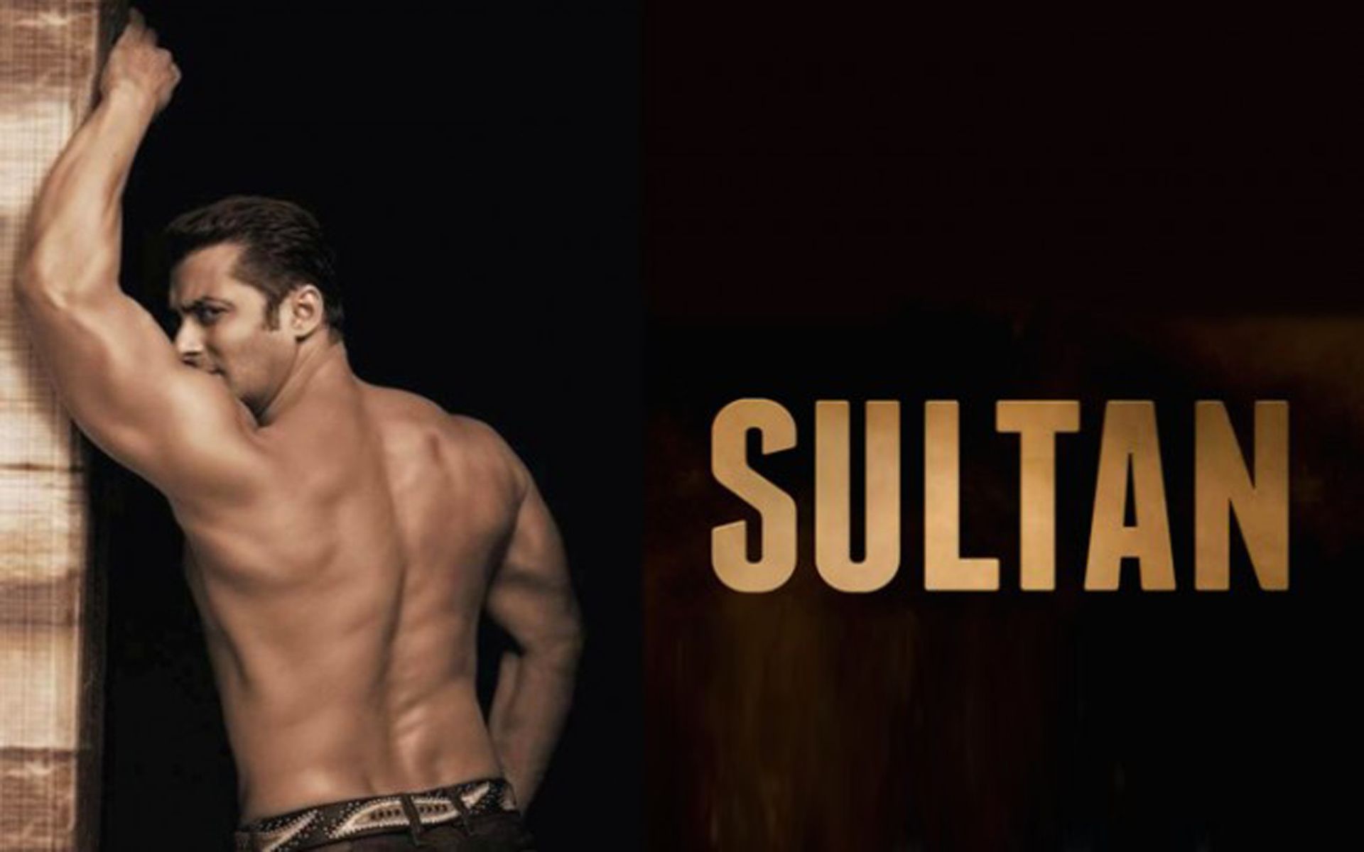 Sultan Movie Wallpapers Find Best Latest Sultan Movie - Motivational Salman Khan Quotes , HD Wallpaper & Backgrounds
