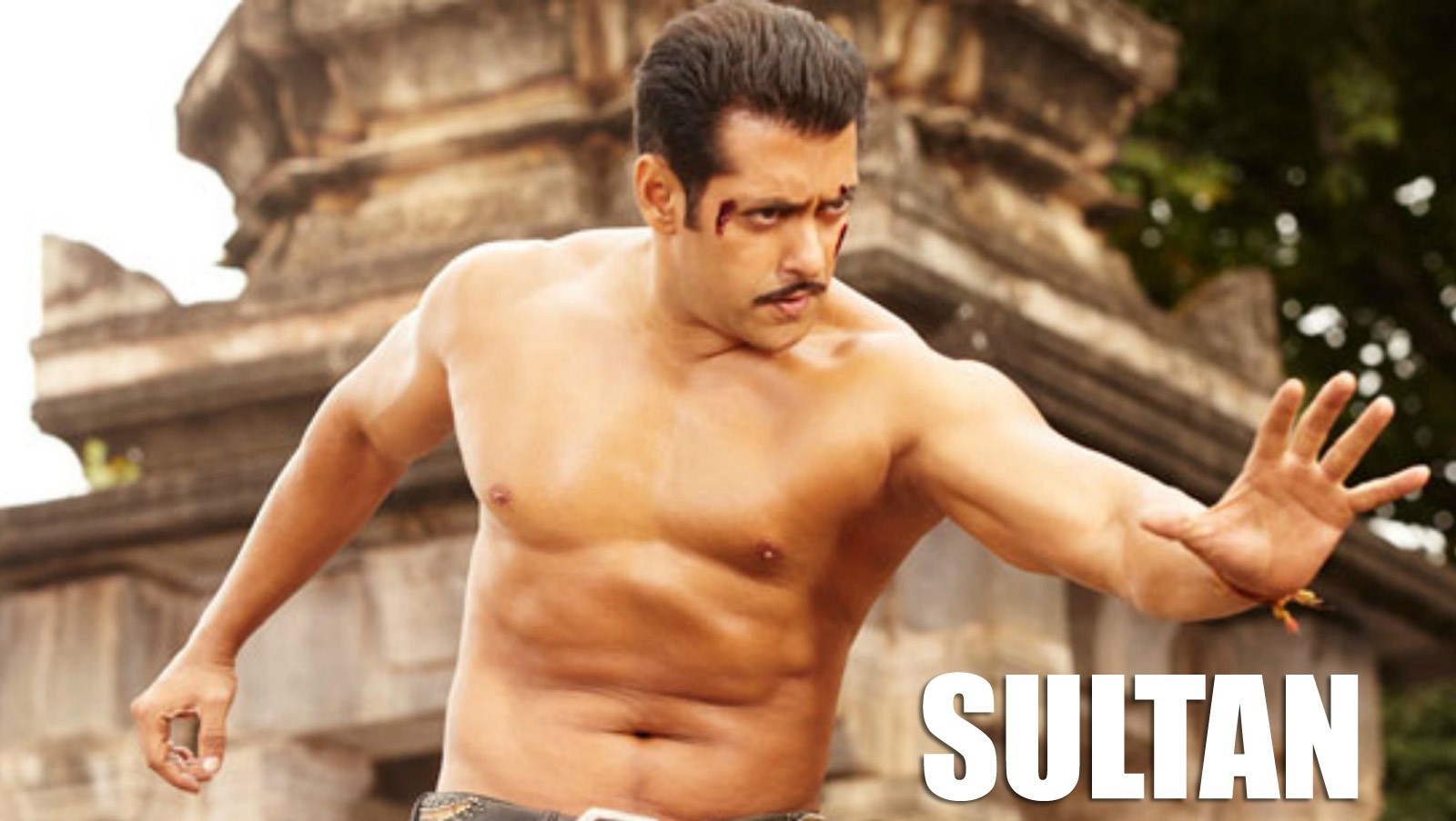 Sultan, Movie, Salman, Khan, Shirtless, Hd, Wallpaper, - Sultan Salman Khan Wallpaper Hd , HD Wallpaper & Backgrounds