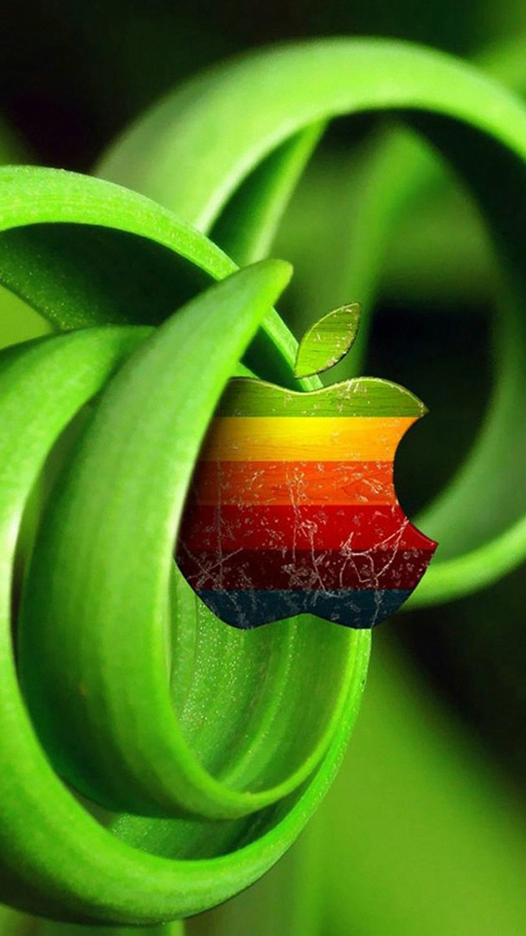 3d Android Apple Wallpaper With Hd Resolution - Green , HD Wallpaper & Backgrounds