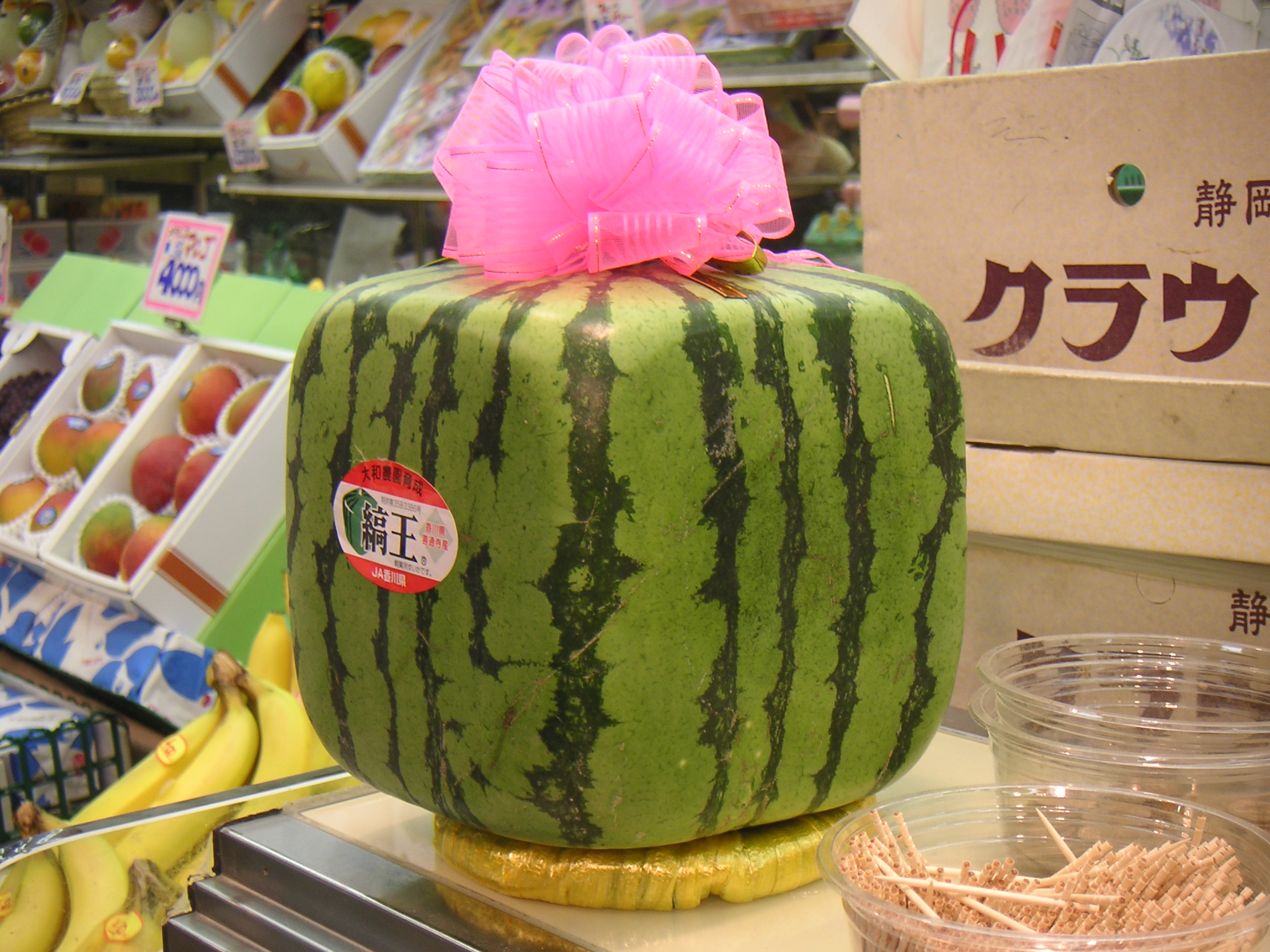 Japanese Watermelon , HD Wallpaper & Backgrounds