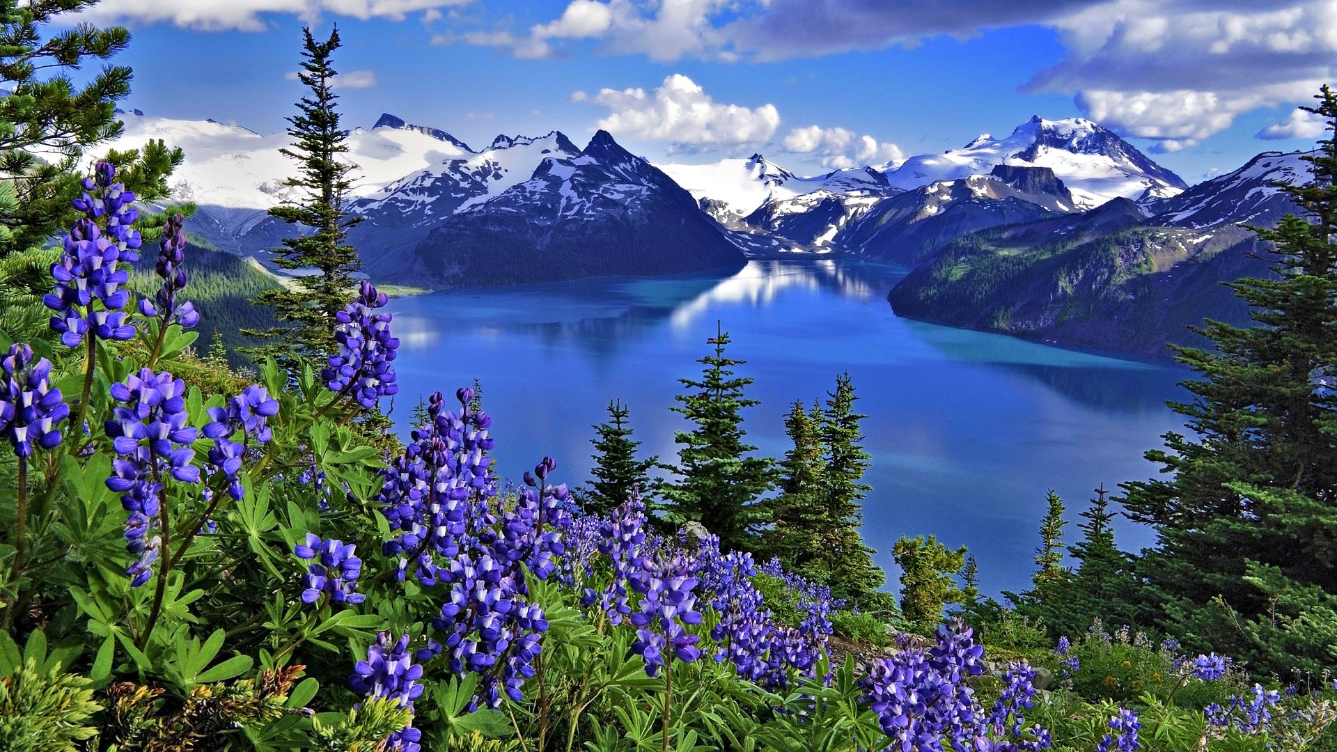 Hd The Beauty Of Nature Wallpaper - Spring Flowers And Mountains , HD Wallpaper & Backgrounds