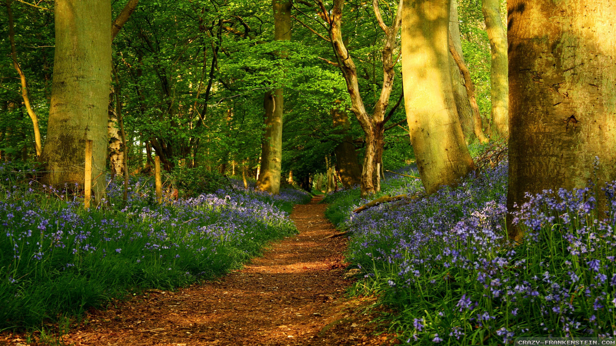 Desktop Wallpaper Spring Scenes