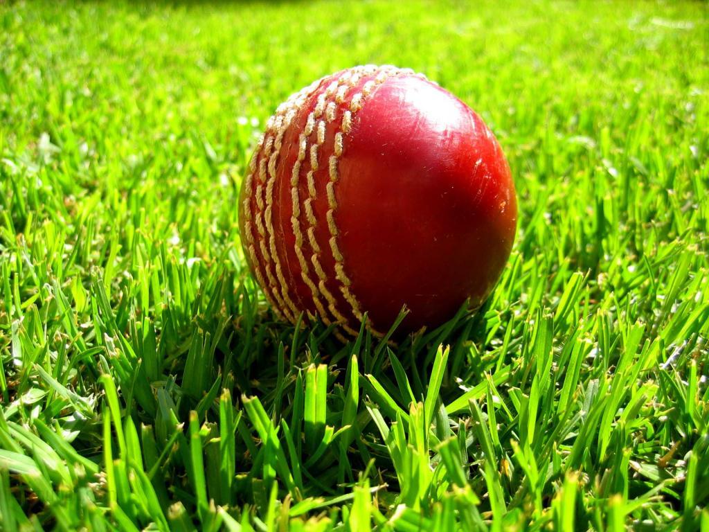 Cricket Ground - Cricket Ball On Grass , HD Wallpaper & Backgrounds
