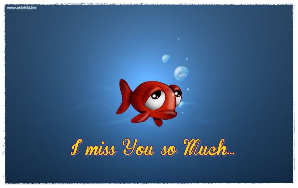 I Miss You So Much Quotes - Miss U Fish Quotes , HD Wallpaper & Backgrounds