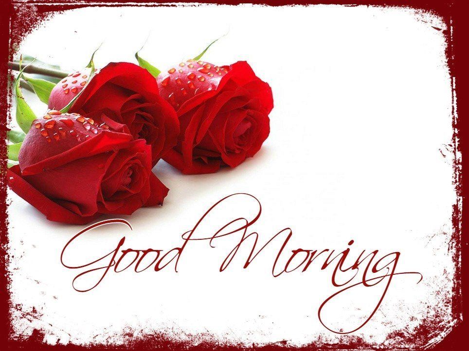 Gulab Ke Phool Ke Wallpaper - Love Rose Good Morning , HD Wallpaper & Backgrounds