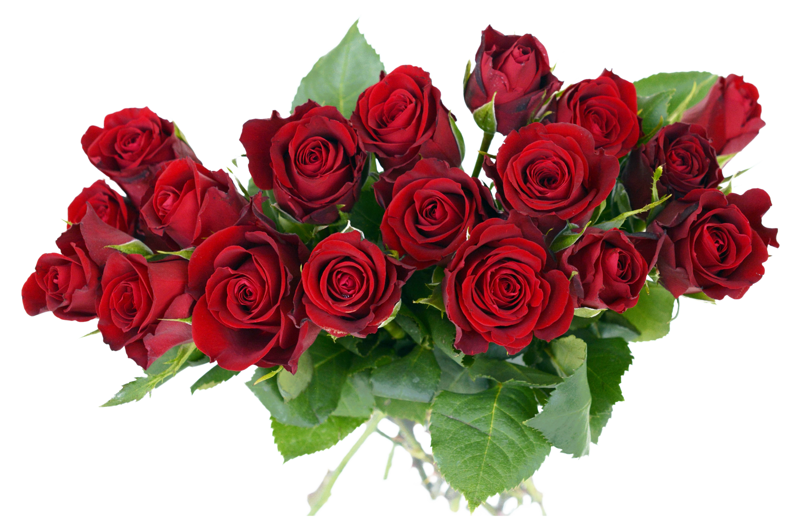 Rose Bouquet Png Image Purepng Free Transparent Cc0 - Flower Happy Birthday Gifuri , HD Wallpaper & Backgrounds