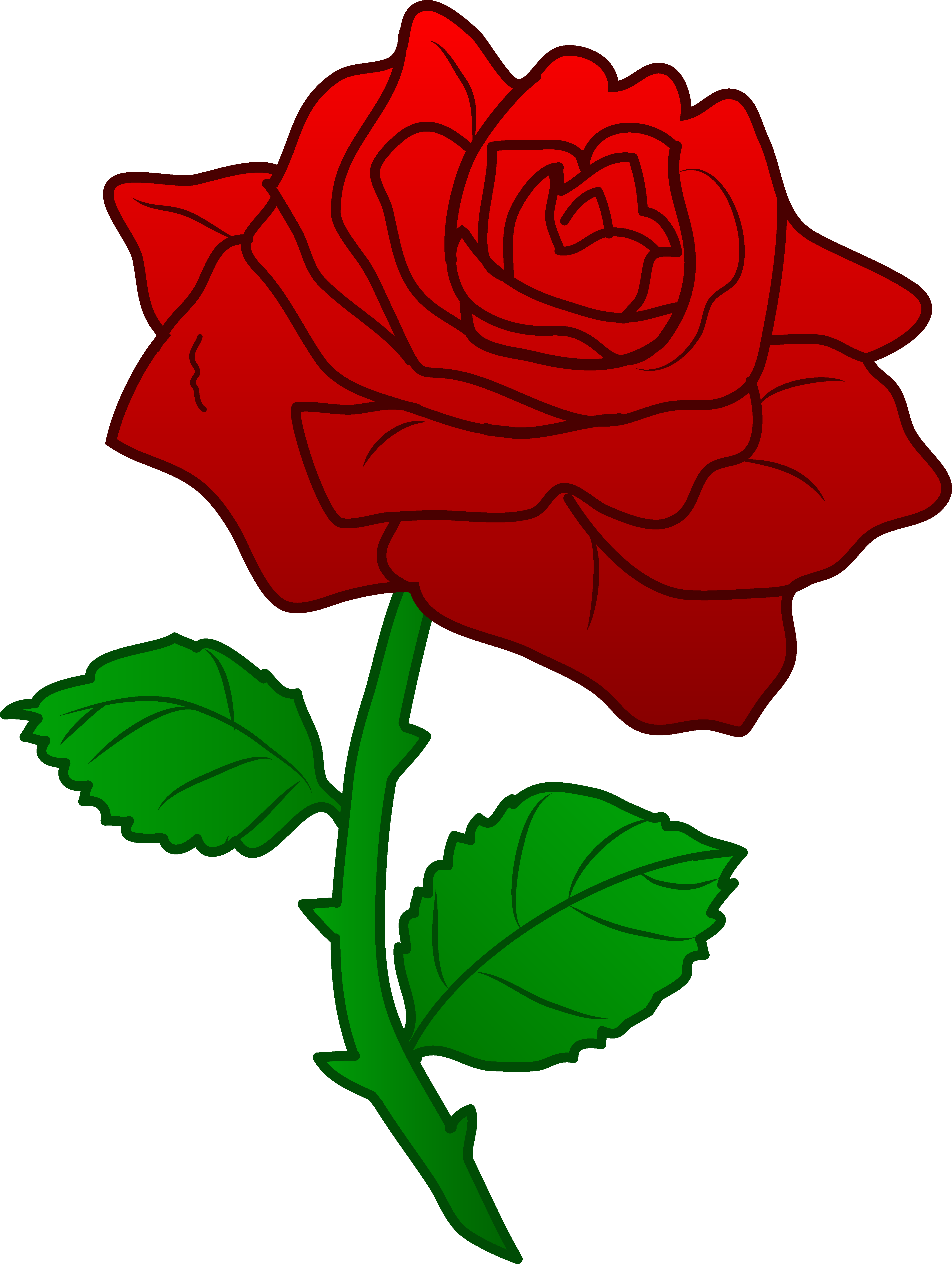 Red Rose Clipart - Rose Clipart , HD Wallpaper & Backgrounds