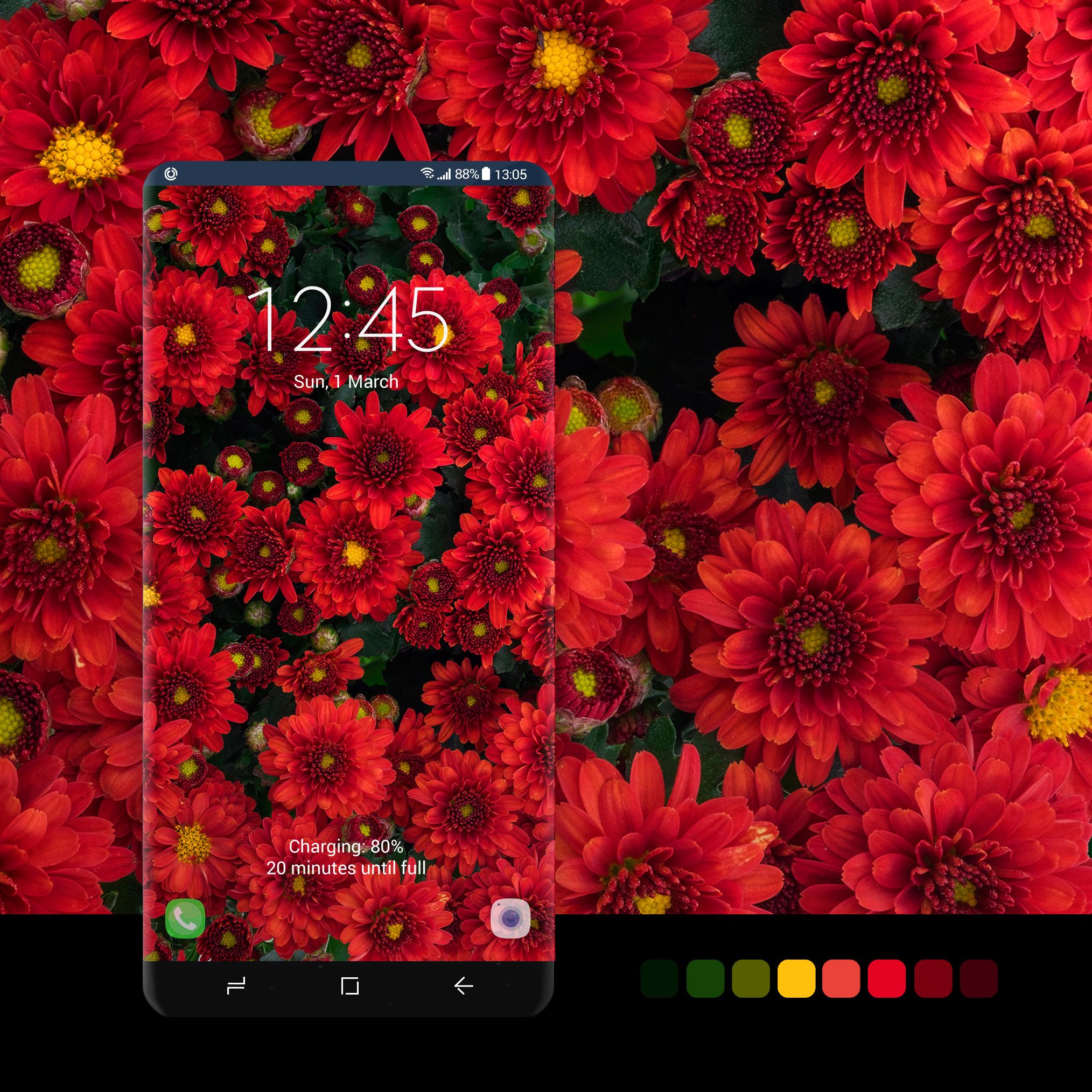Red Autumn Flowers Wallpaper - Common Zinnia , HD Wallpaper & Backgrounds