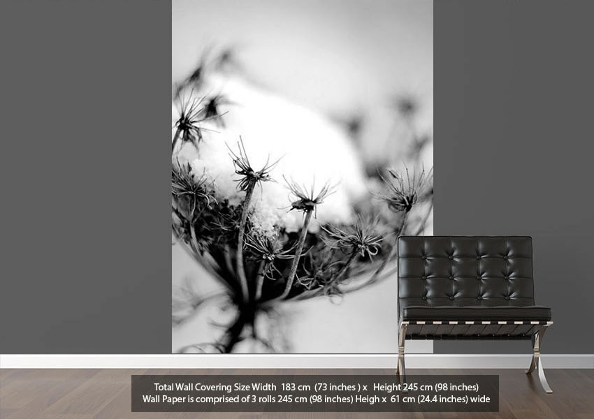 Picture Of Single Winter Flower Flowers Grey Vinyl - Banksy Wall Mural , HD Wallpaper & Backgrounds