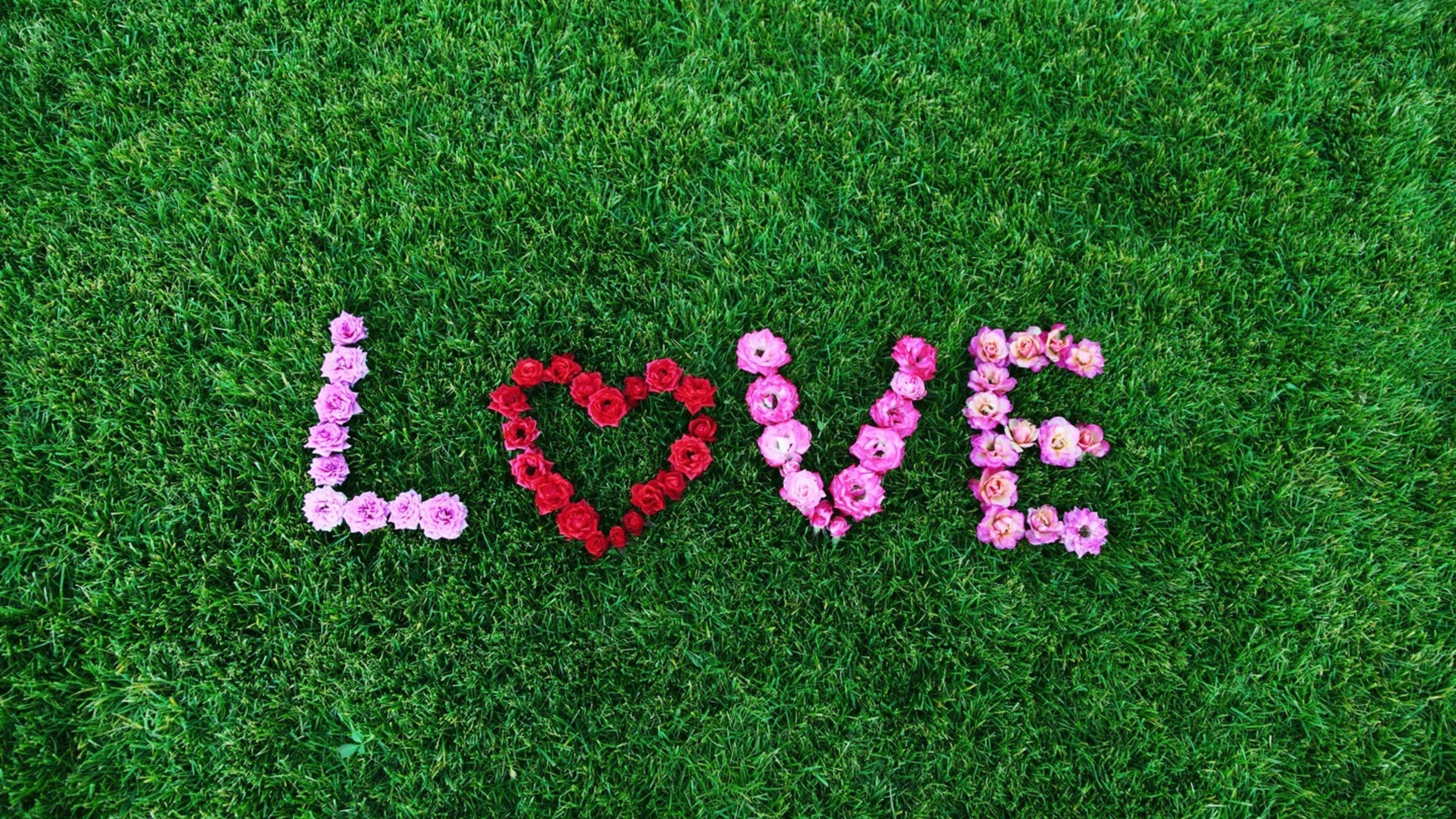 Love Flower Art - Love Written With Flowers , HD Wallpaper & Backgrounds