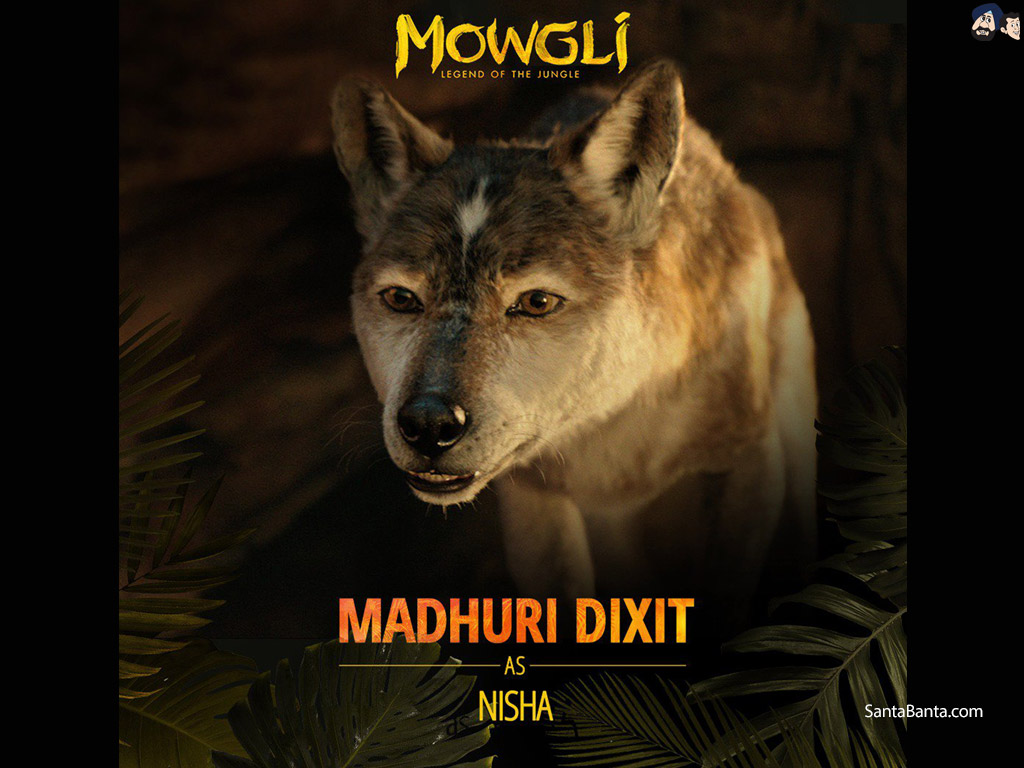 Mowgli Legend Of The Jungle - Mowgli Legend Of The Jungle Cast , HD Wallpaper & Backgrounds
