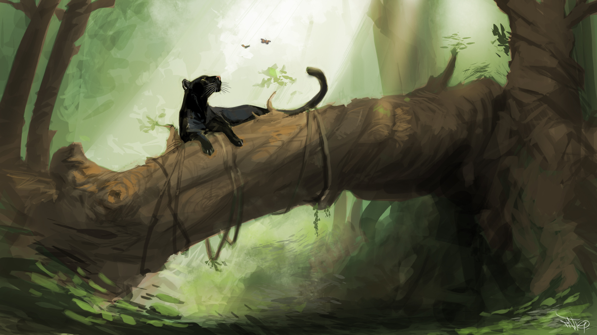 Baghira Mowgli Graphics - Panther In A Tree Drawing , HD Wallpaper & Backgrounds