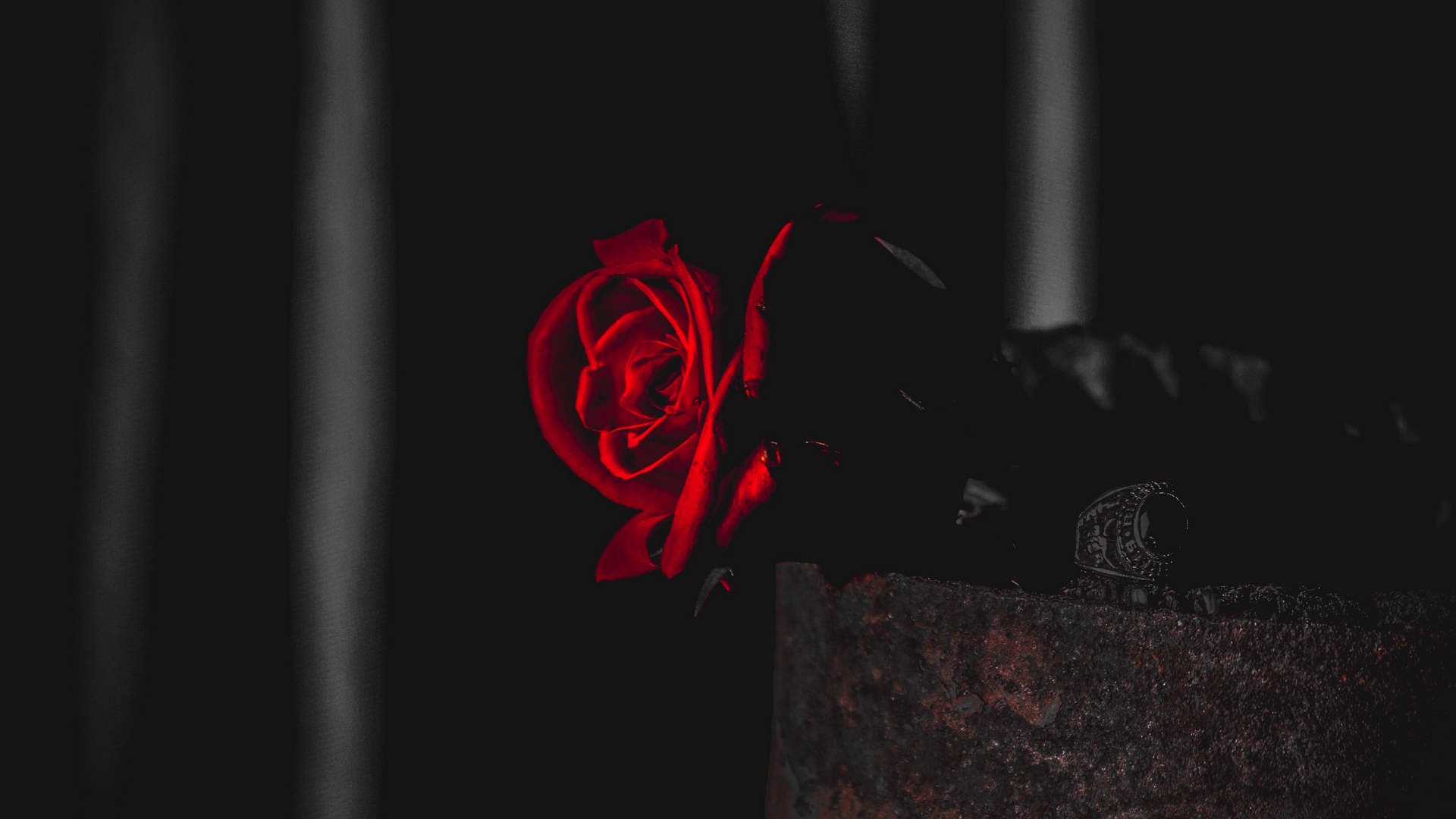 1080p Red Rose With Black Background Hd Wallpaper - doraemon