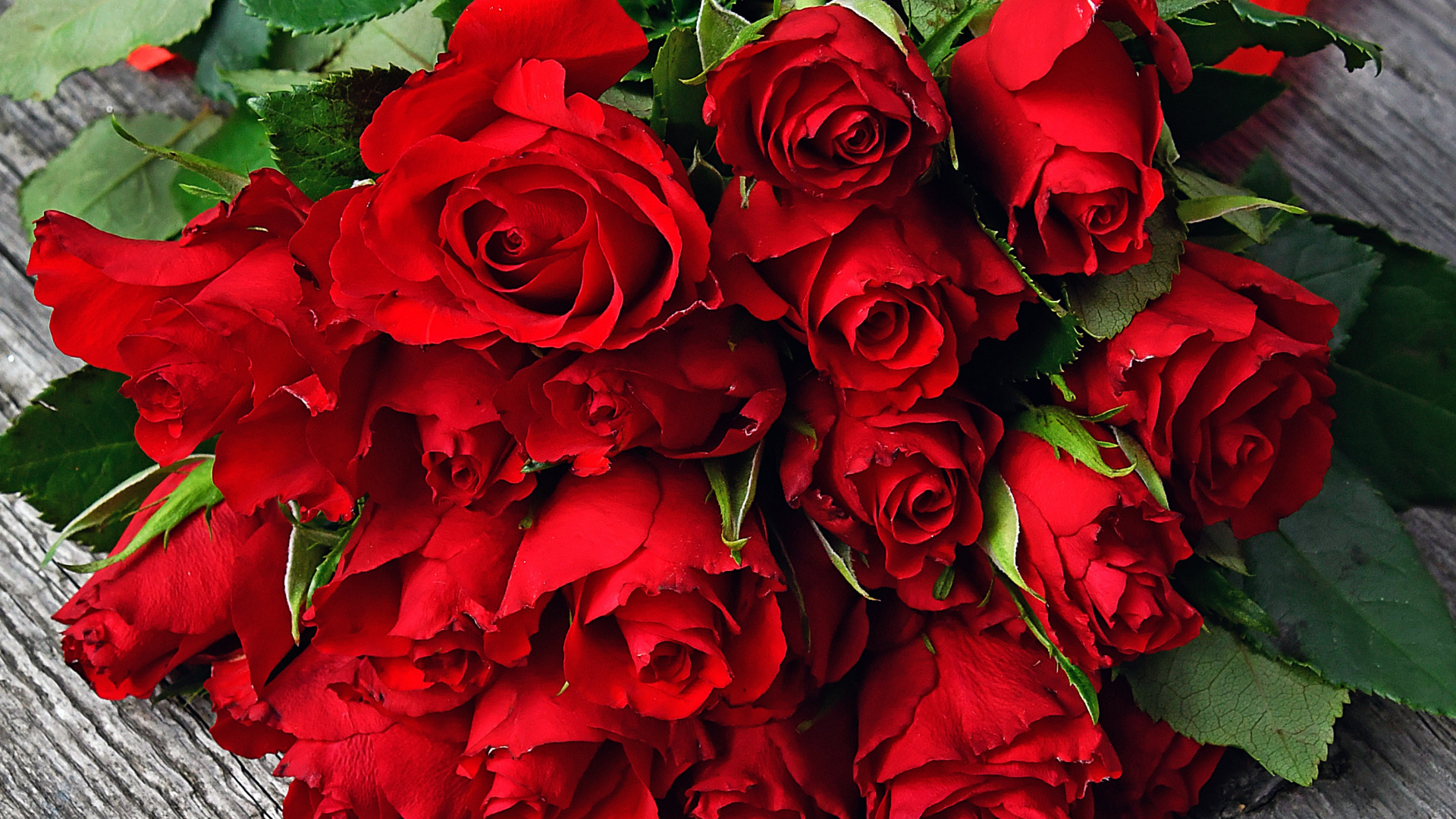 Downalod [1920x1080] - Romantic Red Roses , HD Wallpaper & Backgrounds