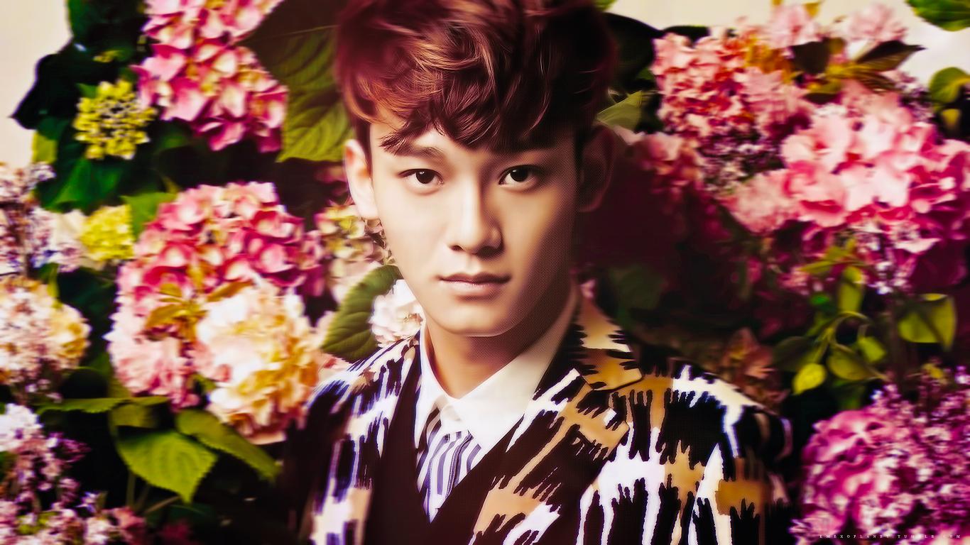 Exo New Wallpaper - Chen Exo Hd , HD Wallpaper & Backgrounds