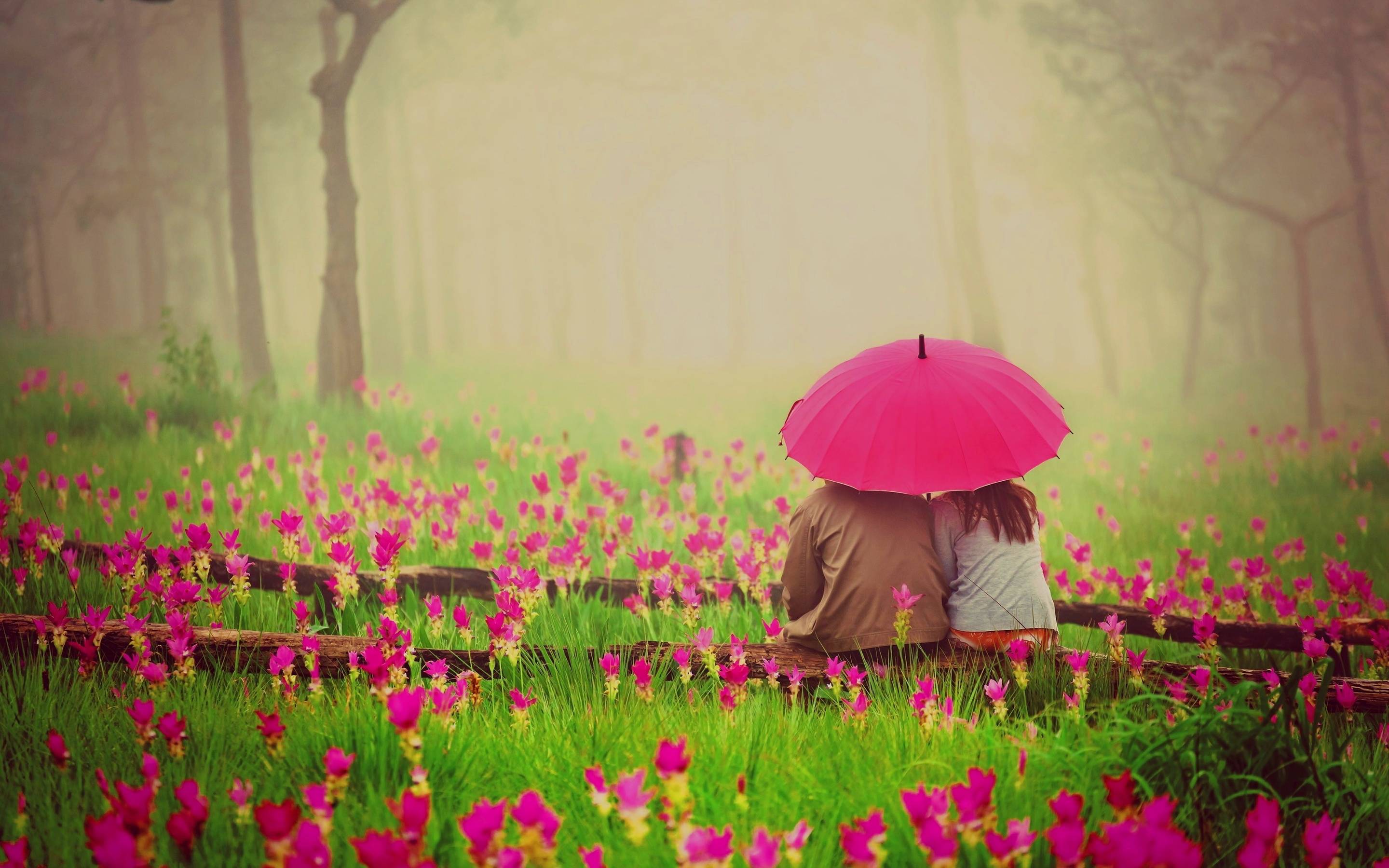 40 Romantic Couple Wallpapers Hd Love Couple Images - Feel My Love Hd , HD Wallpaper & Backgrounds