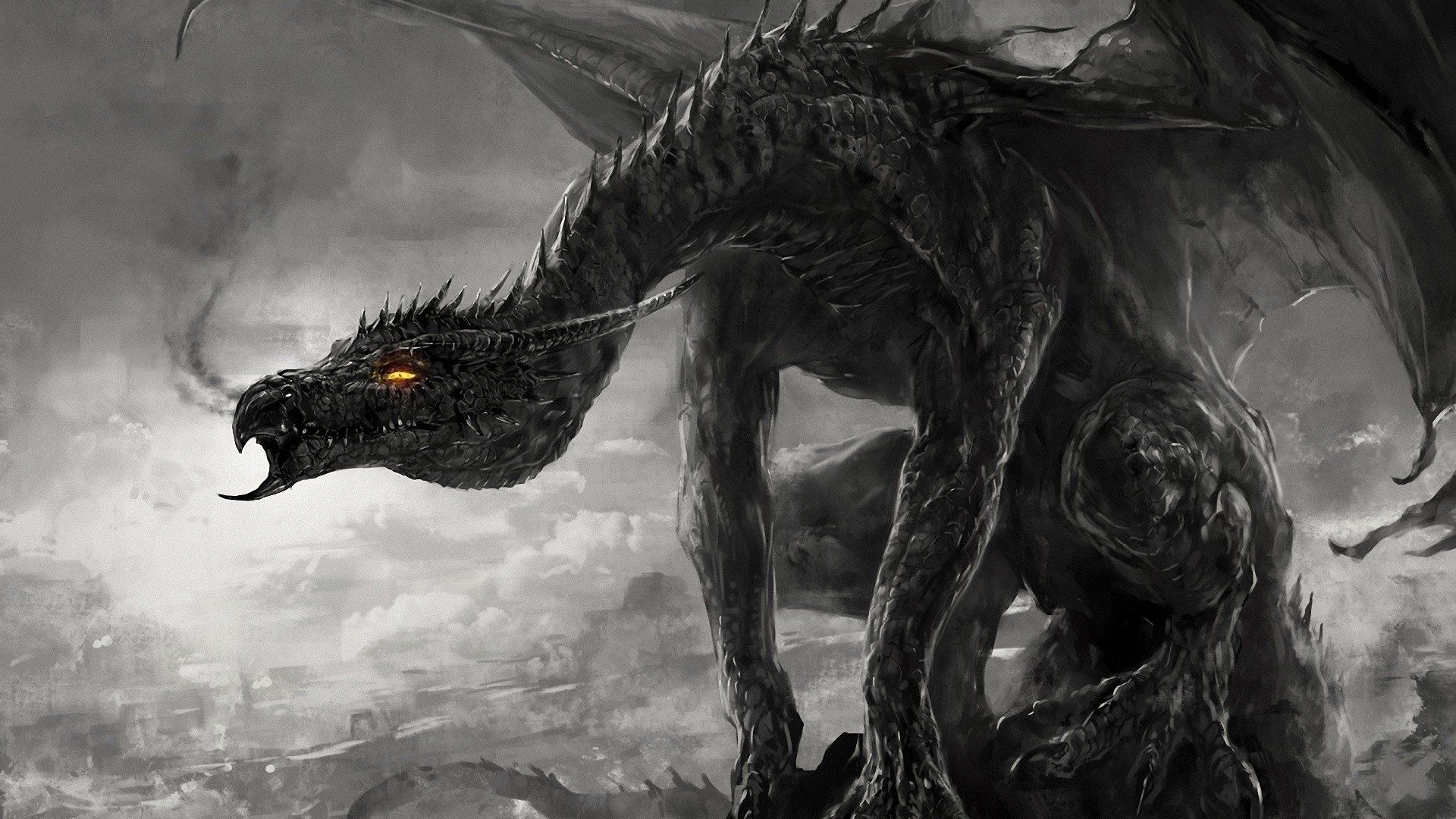 Black And White Dragon , HD Wallpaper & Backgrounds