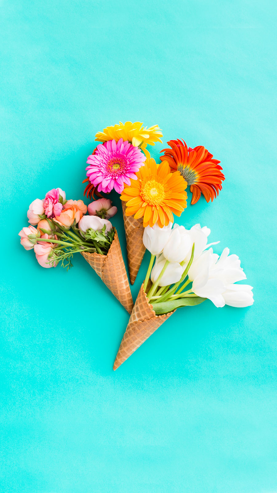 Download Flowers Raising The Roof - Flowers In Ice Cream Cones , HD Wallpaper & Backgrounds