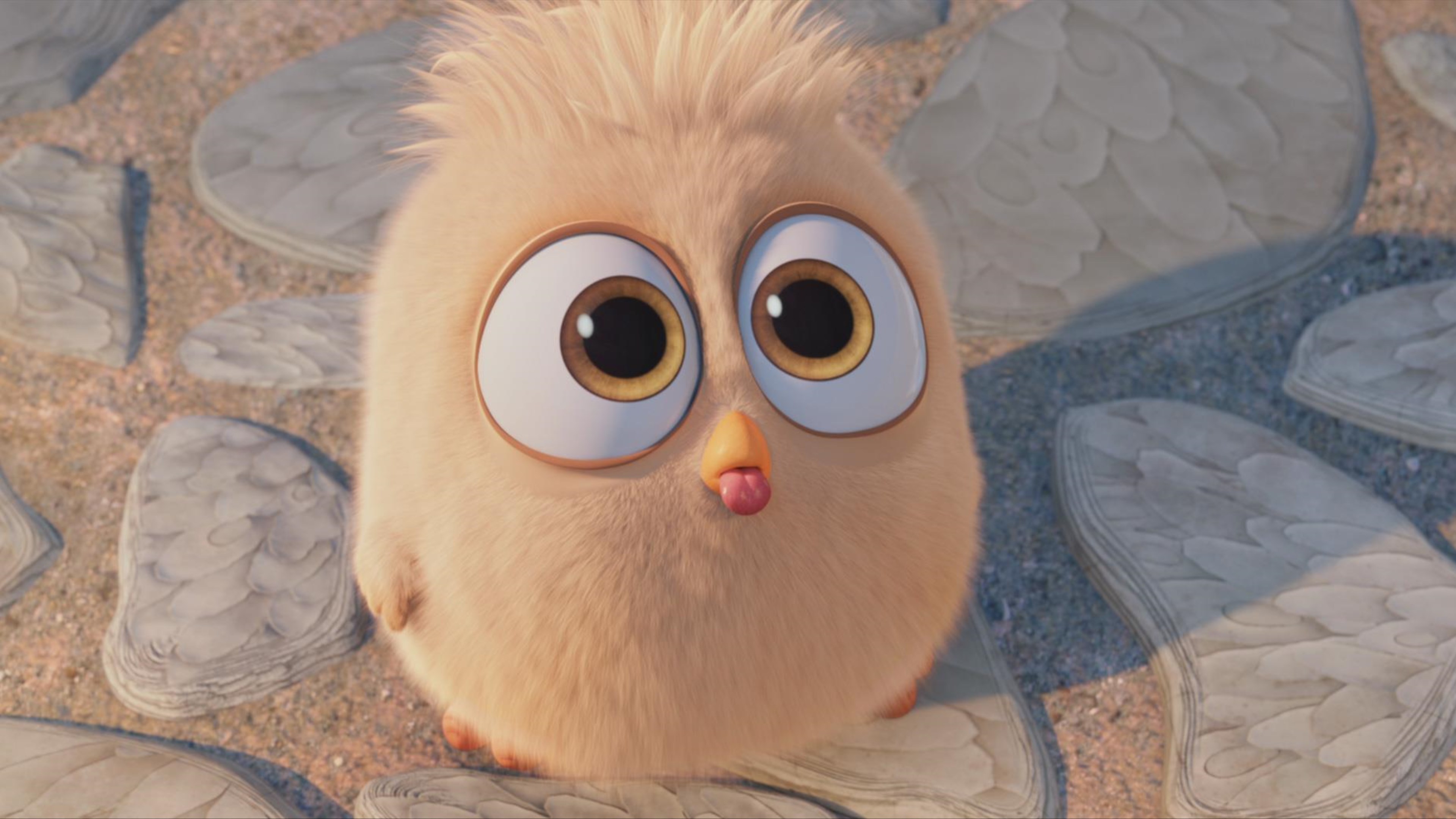 Hatchling In The Angry Birds Movie - Animated Gif Blowing Raspberry , HD Wallpaper & Backgrounds