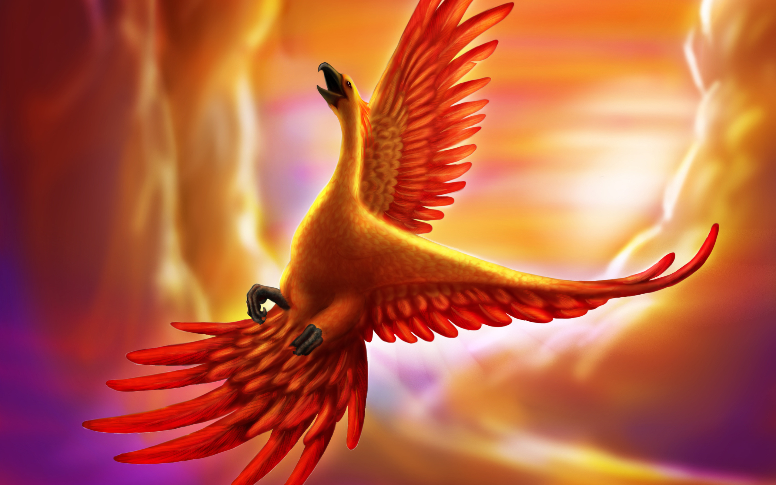 Phoenix Bird Images Hd Download , HD Wallpaper & Backgrounds