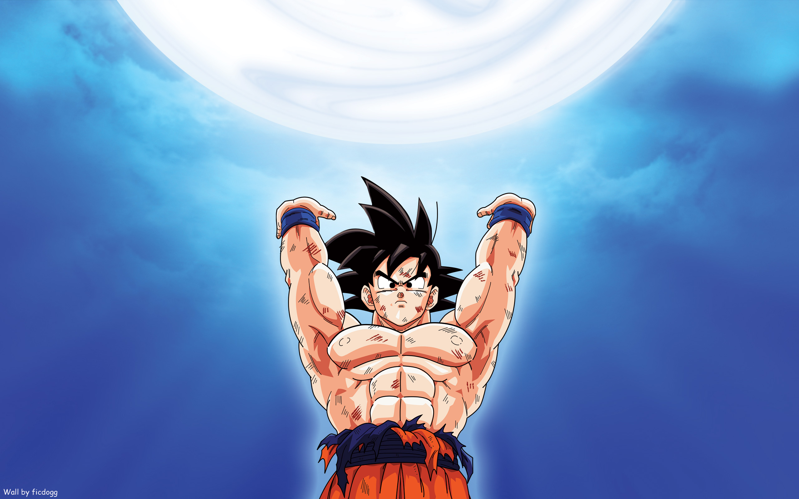 Hd Wallpaper - Goku Spirit Bomb Hd , HD Wallpaper & Backgrounds