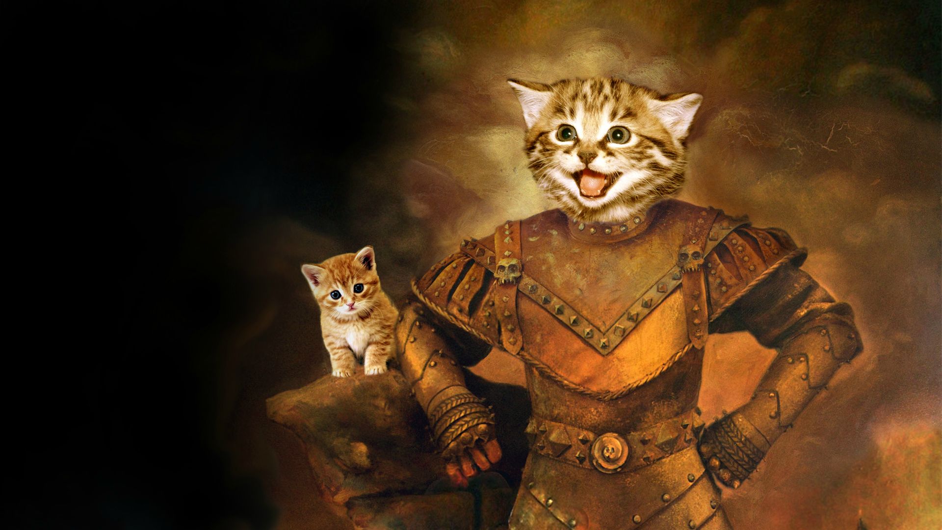 Best Cat Wallpaper - Cat In Knight Armor , HD Wallpaper & Backgrounds