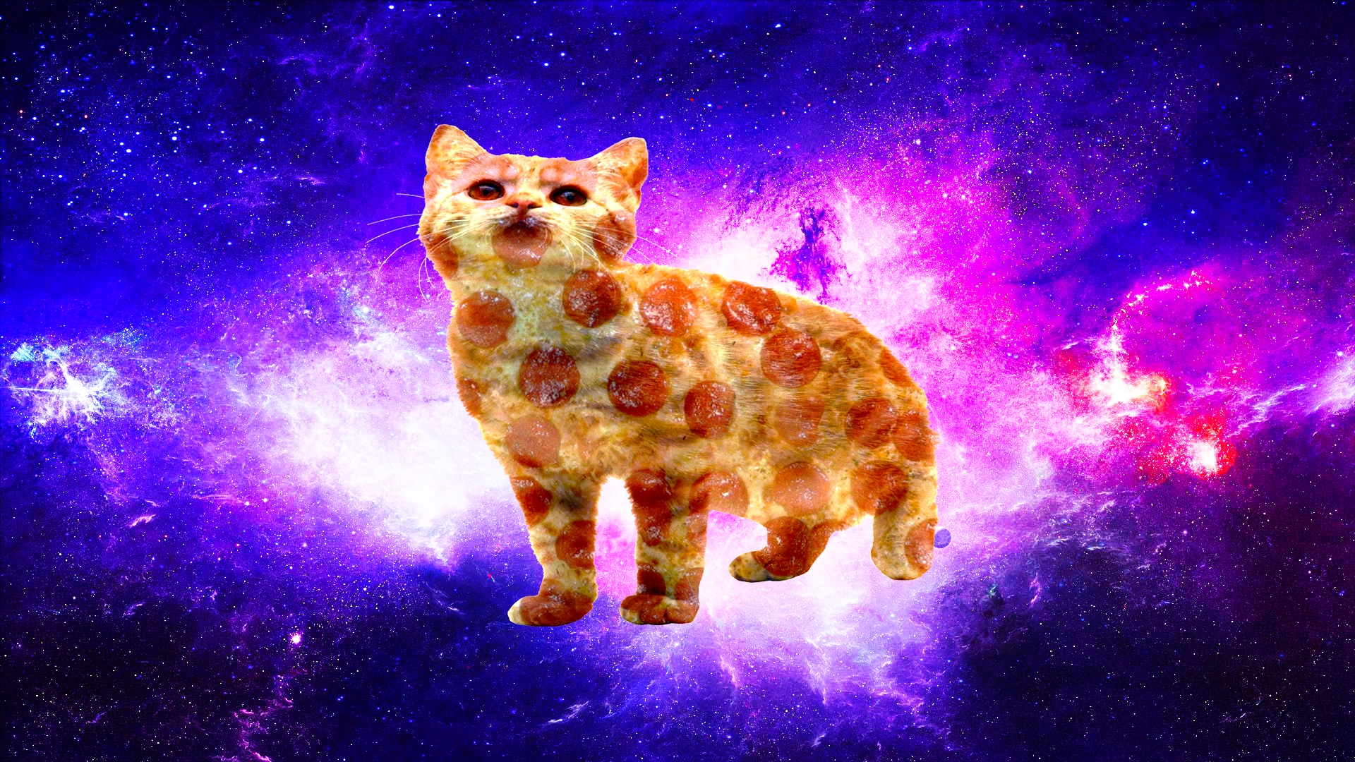 Best Nebula Pizza Cat Wallpaper - Pizza Cats , HD Wallpaper & Backgrounds