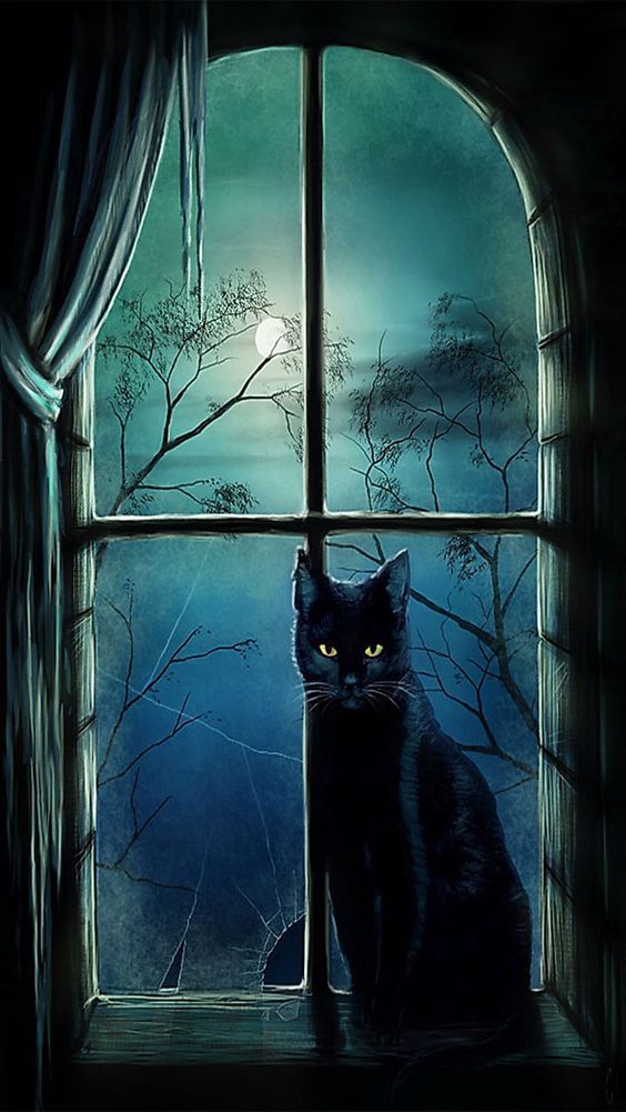 Black Cat Iphone Wallpaper Pinterest - Halloween Wallpaper Black Cat , HD Wallpaper & Backgrounds