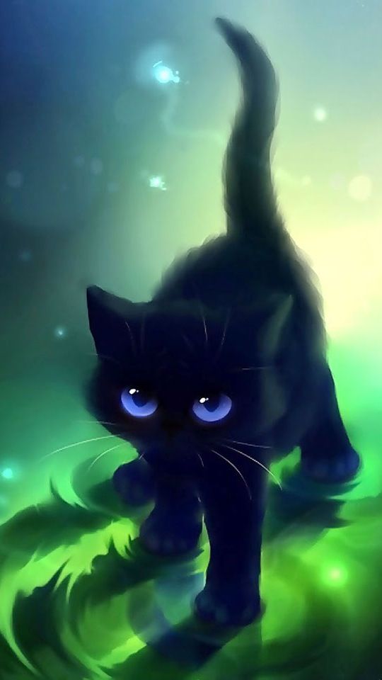 Iphone Cat Wallpaper On Pinterest , HD Wallpaper & Backgrounds