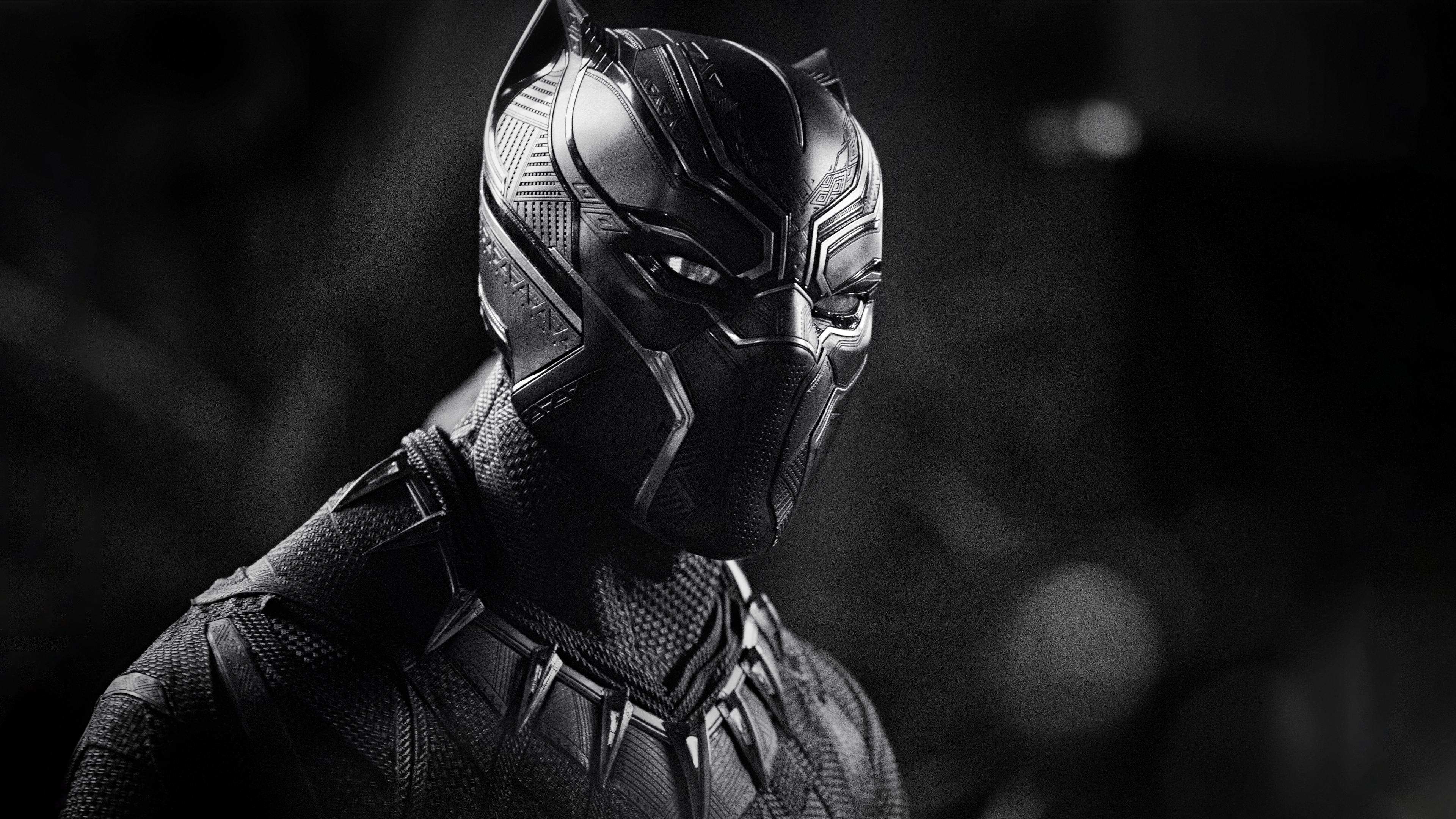 Black Panther Monochrome 4k , HD Wallpaper & Backgrounds