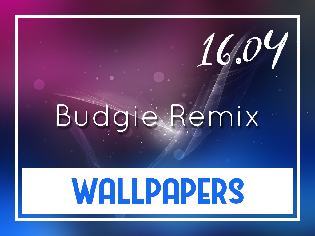 Budgie Remix - Graphic Design , HD Wallpaper & Backgrounds