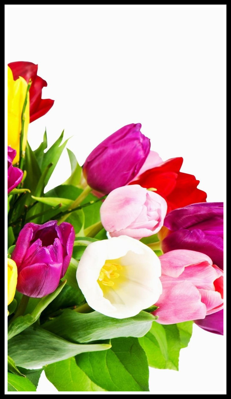 Wallpaper For Mobile Colorful Flower - Desktop Background Flowers For Mobile , HD Wallpaper & Backgrounds