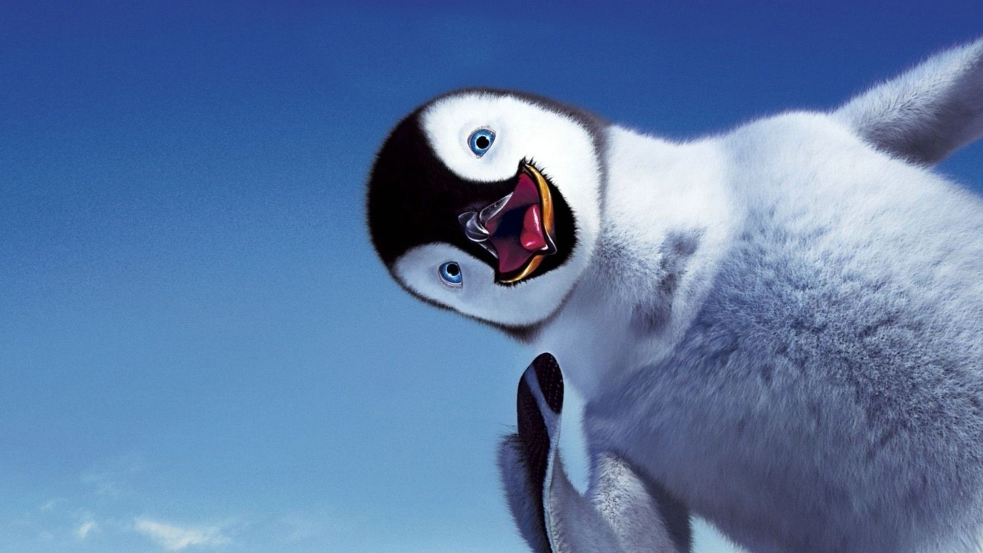 Funny Penguin Wallpaper Free Download - Cute Penguins Desktop Backgrounds , HD Wallpaper & Backgrounds