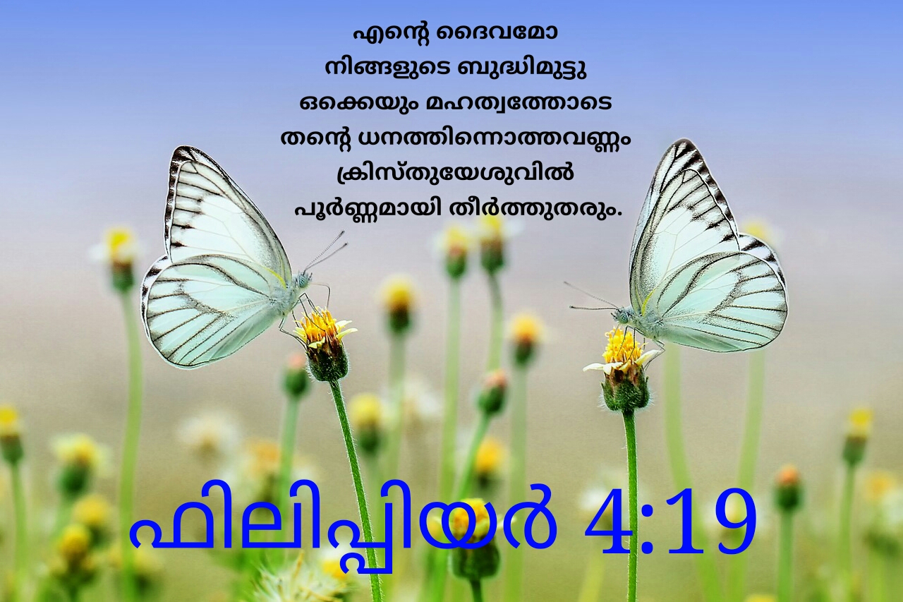 Malayalam Christian Wallpaper - Philippians 4 19 Malayalam , HD Wallpaper & Backgrounds